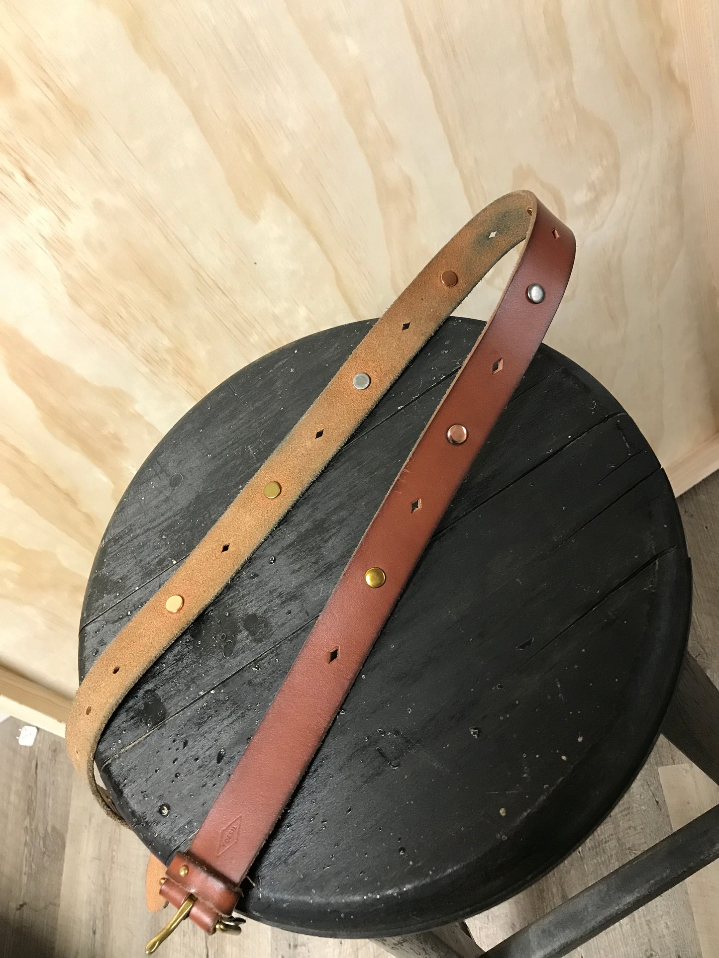 Fossil belt s