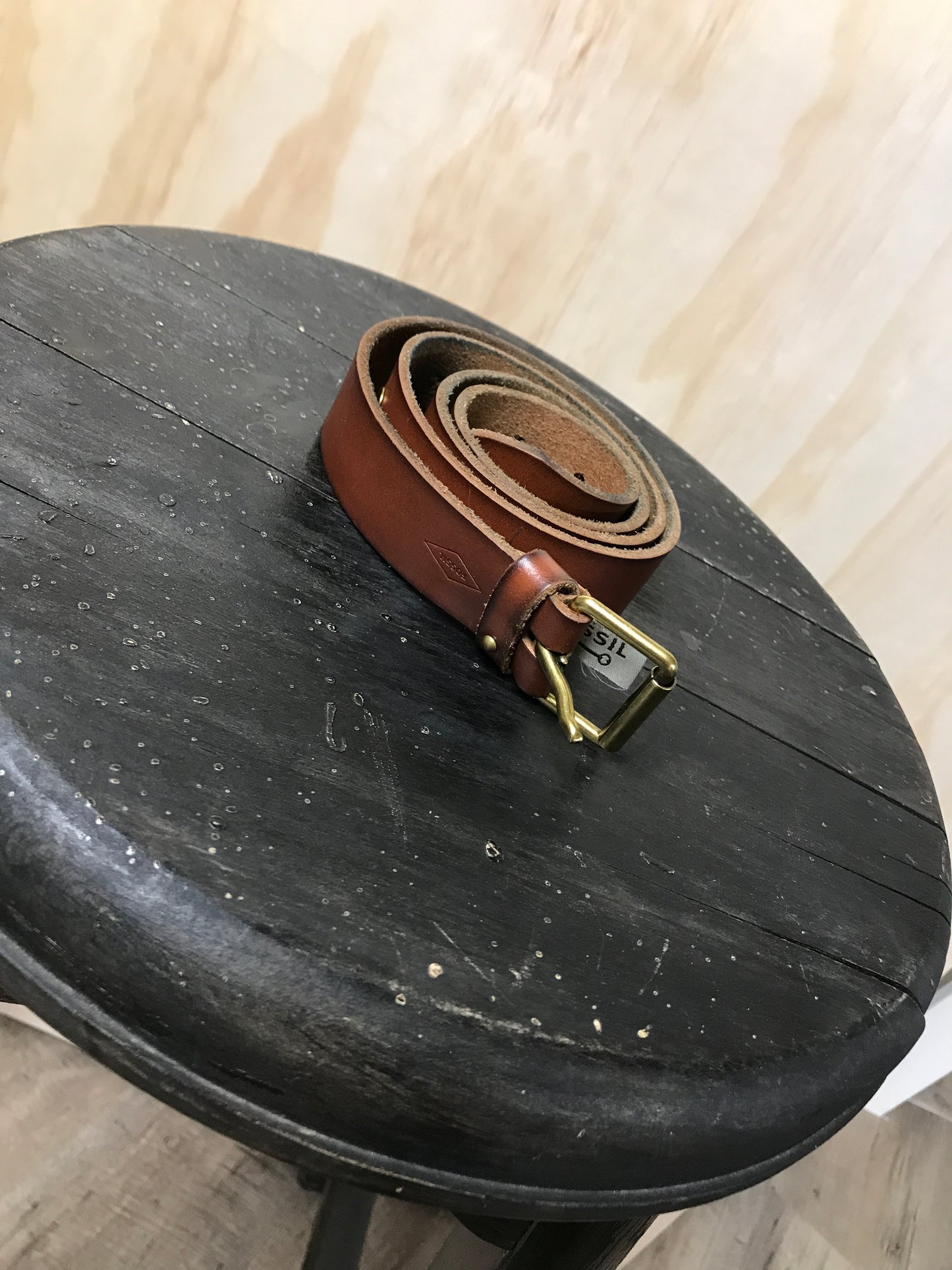 Fossil belt s